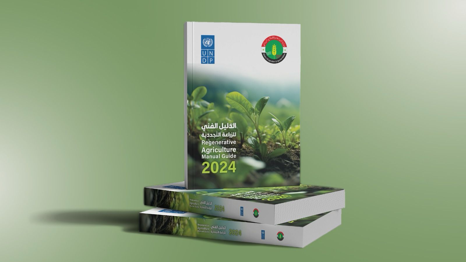 UNDP